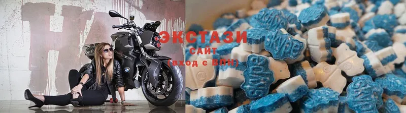 где найти   Белая Холуница  Ecstasy круглые 